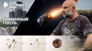 Каменный гость — Как устроен мир с Тимофеем Баженовым (07.10.2025)
