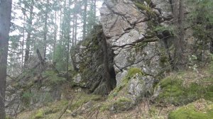 Дальше в лес больше впечатлений.