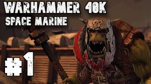 Каменюка ► Warhammer 40 000 Space Marine ► Прохождение #1