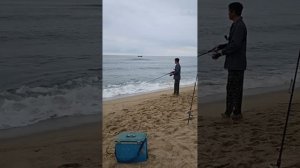 Рыбалка на море. Ловим макрель и тунца