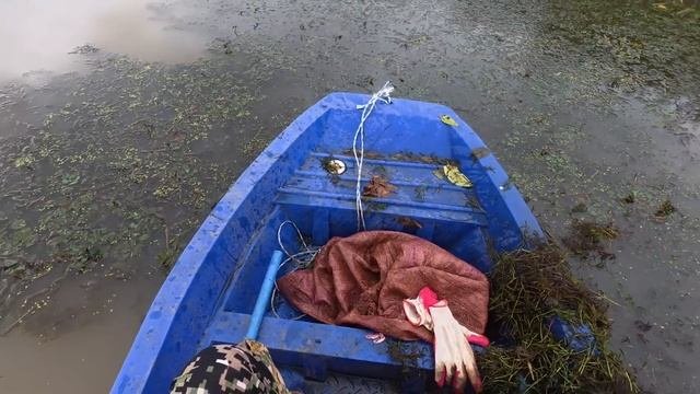 Осенние сазаны на рогатку. Дома размыло из-за дождей, повсюду мусор.#рыбалка #낚시 #fishing#automobile