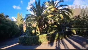 СОЧИ. ПОГРУЗИТЕСЬ В АТМОСФЕРУ  ОТДЫХА И КРАСОТЫ  ПРИРОДЫ.🌴🌴🌴