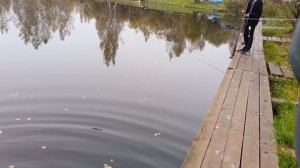 ловля форели,форелевая рыбалка РК "Фишка" Петряиха