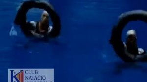 2010 Fina World Trophy, Moscow RUS, Thematic Duet SPAIN