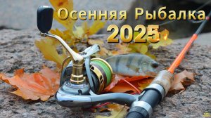 ОКТЯБРЬ ВТОРАЯ РЫБАЛКА ЗА ГОРОДОМ КЛЁВ ОКУНЯ НА ВСЕ ЦВЕТА И РАЗМЕРЫ ПРИМАНОК ЗА ГОРОДОМ ОСЕНЬ 2025