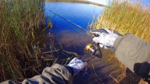 Береговая рыбалка со спиннингом. Осень 2025