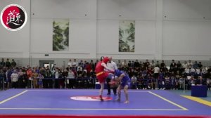 IX Международный турнир по ушу "Московские зведы ушу", 2024. Фрагменты поединков ушу-саньда. Часть 6