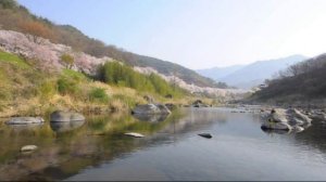 Весна , река