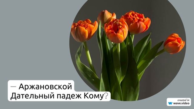 Фамилия Аржановская: исследуем происхождение, историю и значение, а также разбираем склонение