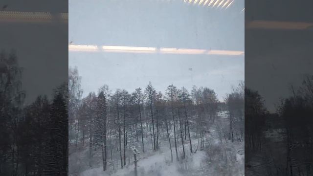 река Волга из Пищалкинского поезда (08.01.21)