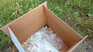 Коростели. Мыши поселились. 02.10.2025.