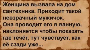 Как женщина на дом сантехника вызвала. Сборник анекдотов