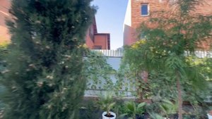 Мой сад в октябре 2025