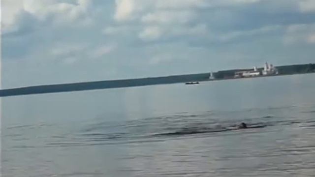 Озеро Селигер, вид с пляжа (12.07.09)