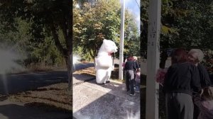 Поздравление от белого мишки в Оренбурге .mp4