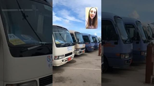 Занзибар. Прямой эфир часть 1