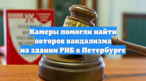 Камеры помогли найти авторов вандализма на здании РНБ в Петербурге