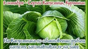 8 октября. Народные приметы и поверья. День заготовки капусты