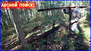 ОЧЕНЬ СЛОЖНО ИХ НАЙТИ! НАШ ПЛАН СРАБОТАЛ!!!