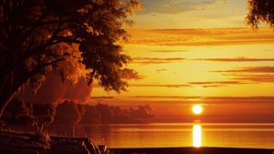 Самого Доброго И Уютного Вечера, Друзья! Очень Красивое Пожелание Доброго Вечера!