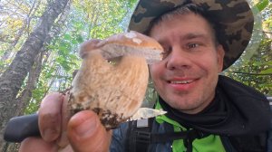 ПОДОСИНОВИКИ РВУТСЯ В КОРЗИНУ: Секреты успешного сбора