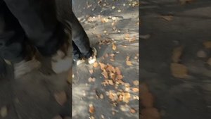 гуляем с Илюхой по району