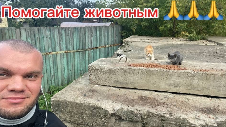 подготовка к соревнованиям по бодибилдингу,цикл масса набор день 5