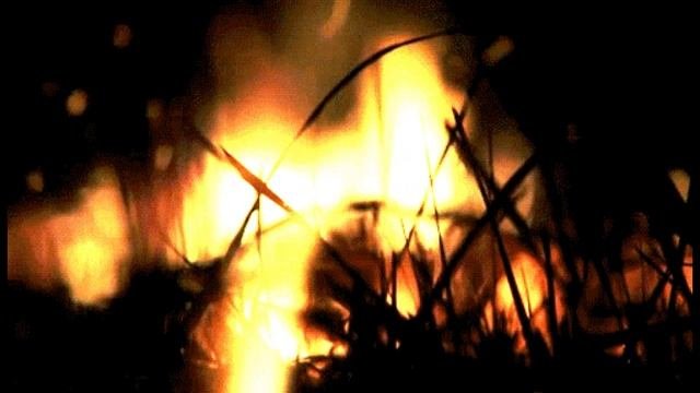 ПРОЗА | Время | 💫 Записки Сумасшедшего Автора