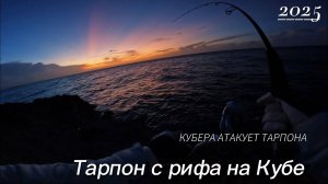 Тарпон с рифа на Кубе