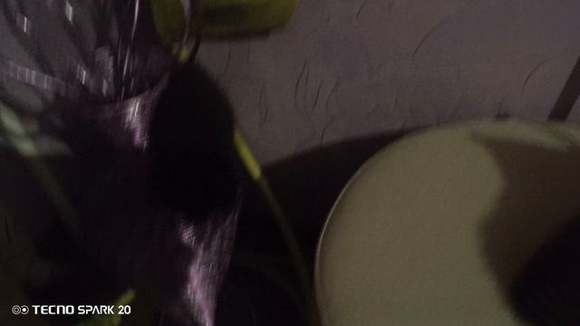 котёнок смотреть онлайн