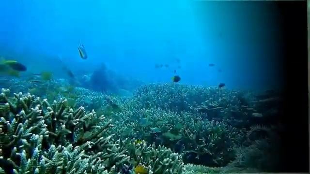 Подводное приключение. Звуки для сна