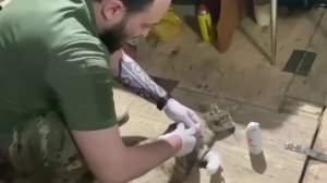 СВО ПОЛНОЕ ВИДЕО ЖМИ👈