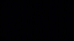 𝑩𝒊𝒍𝒍 𝑮𝒂𝒕𝒆𝒔 𝒂𝒏𝒅 𝑾𝒊𝒏𝒅𝒐𝒘𝒔 7 𝑬𝒅𝒊𝒕