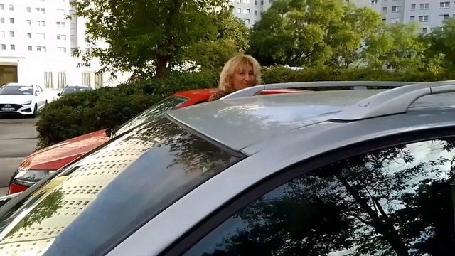 ЖЁЛТЫЙ ТРАНЗИТНЫЙ НОМЕР для Болгарского путешествия