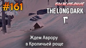 Ждем Аврору в Кроличьей роще | The Long Dark #161