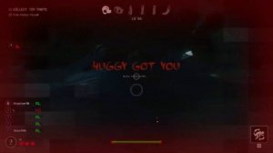 УБЕГАЕМ ОТ ХАГГИ ВАГГИ ОНЛАЙН! НОВАЯ ИГРА Project Playtime