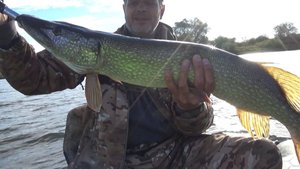 Равномерный Джиг Ловит Зачетных Щук! Рыбалка на Спиннинг в Октябре2025!