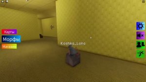 ШЛЁПЫ В БЕКРУМСАХ! КАКОЙ САМЫЙ КРУТОЙ? Roblox Find The Floppa Morphs