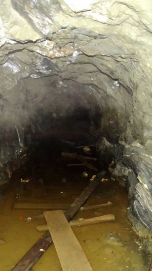 Слюдорудник