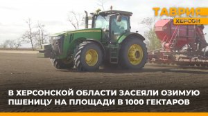 В Херсонской области засеяли озимую пшеницу на площади в 1 000 гектаров