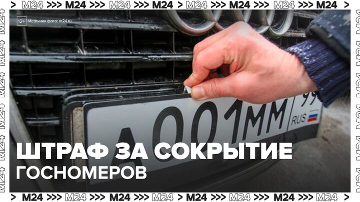Эксперты предупредили, что водители в РФ могут лишиться прав за сокрытие госномеров - Москва 24