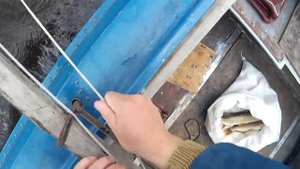ловля щуки на дорожку
