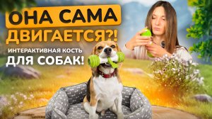 GiGwi PET GEEK — интерактивная кость для собак | Распаковка и тест дома и на улице