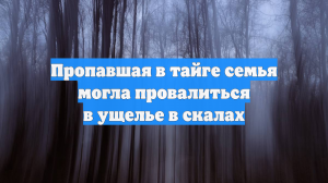 Пропавшая в тайге семья могла провалиться в ущелье в скалах