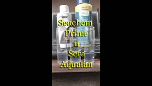 «Seachem Prime» (Сичен Прайм) и «Sera aquatan» - средство для воды в аквариуме: что лучше.