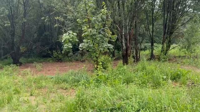 п. Москворецкого Леспаркхоза