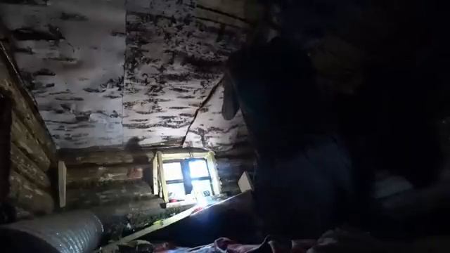 СДЕЛАЛ ИЗБУ В 100 РАЗ УЮТНЕЕ. ЗАГОТОВКА КРОВЕЛЬНОГО МАТЕРИАЛА ДЛЯ ЗИМОВЬЯ.