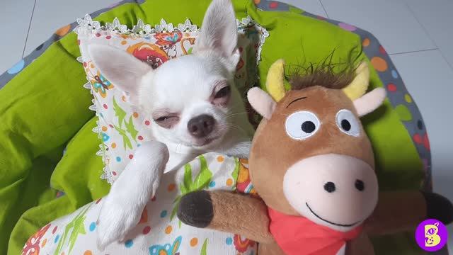 УТРО НОВОЙ РАСПАКОВКИ** НЕ ПРОСПИ ПОДАРКИ смотреть онлайн