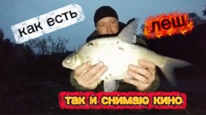 ОКТЯБРЬ ОСЕНЬ ФИДЕР ЛЕЩ РЫБАЛКА ПЛОТВА