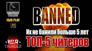 💥 ТОП-5 читеров, которых не БАНили больше 5-ти лет | #warthunder